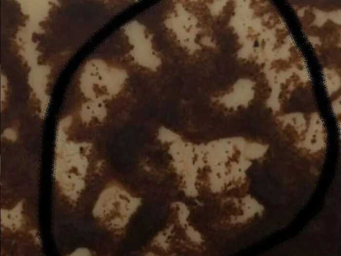 Онлайн запись на гадание в Узловой